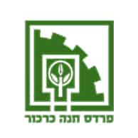 חנה.jpg