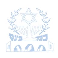 פינס.jpg